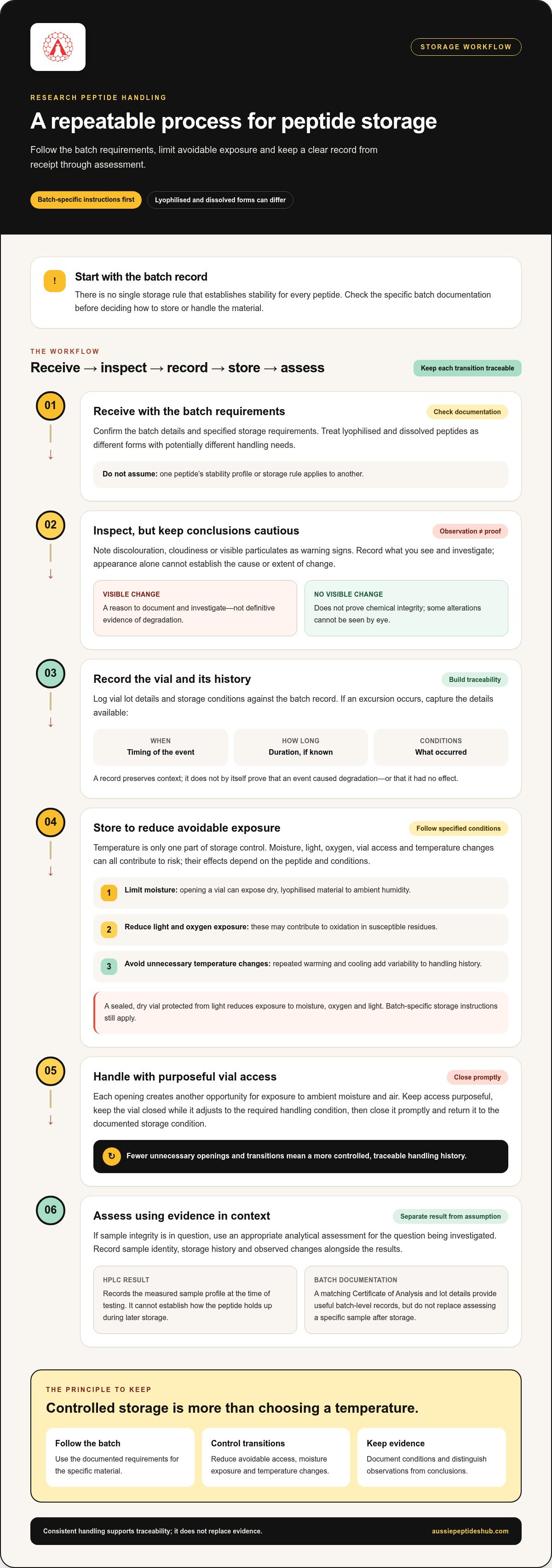 Preventing Peptide Degradation in Storage: A Practical Lab Guide infographic